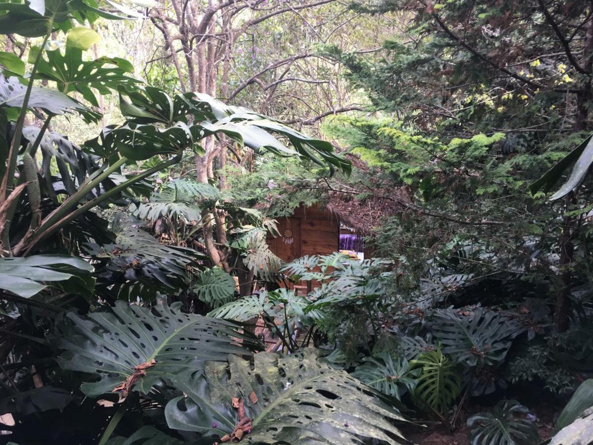 Casa Ranxoxita Hotel Itaipava Luaran gambar
