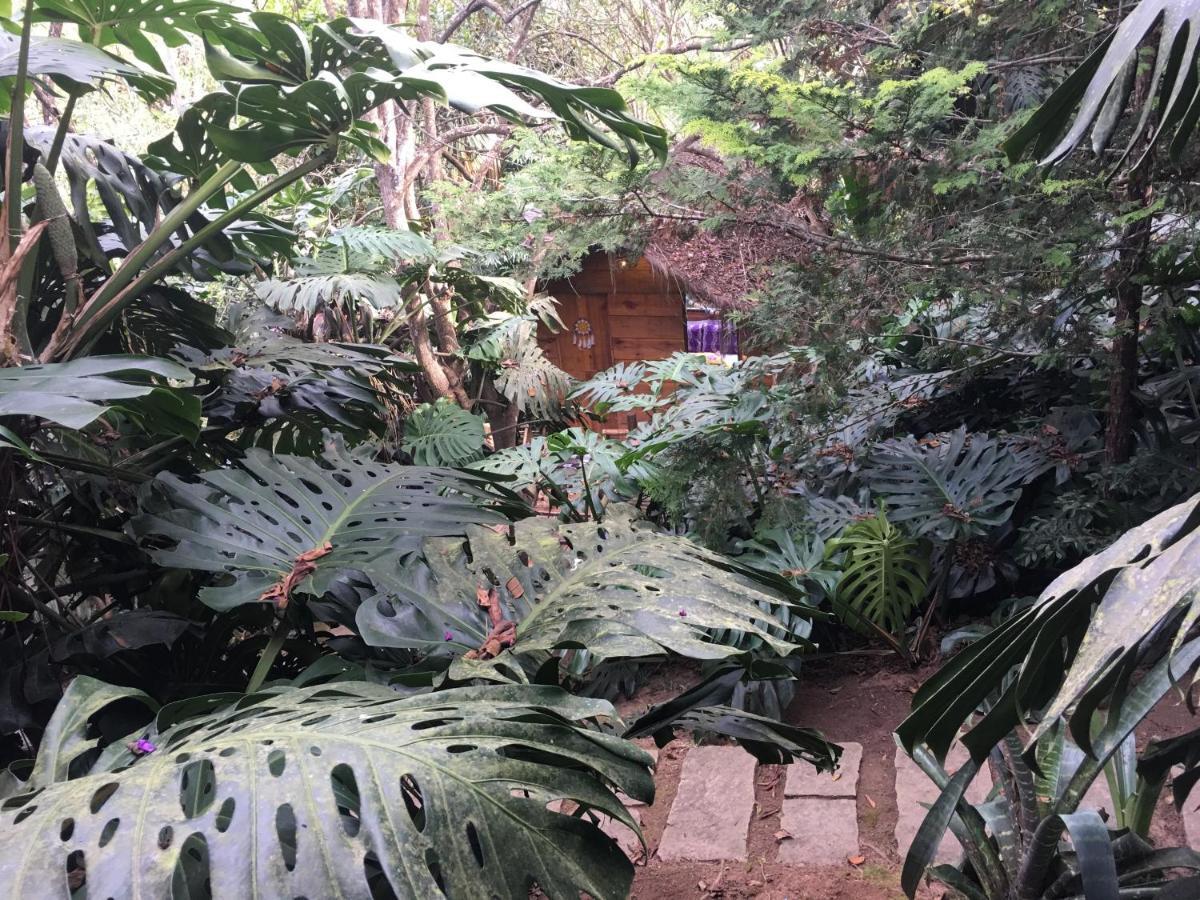 Casa Ranxoxita Hotel Itaipava Luaran gambar